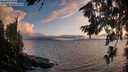 ./images/koeye/fitz-hugh/20260801/fitz-hugh20260801_205501M.jpg