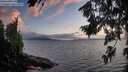 ./images/koeye/fitz-hugh/20260801/fitz-hugh20260801_210501M.jpg