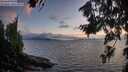 ./images/koeye/fitz-hugh/20260801/fitz-hugh20260801_211001M.jpg