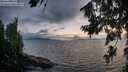 ./images/koeye/fitz-hugh/20260801/fitz-hugh20260801_211501M.jpg