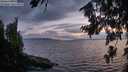 ./images/koeye/fitz-hugh/20260801/fitz-hugh20260801_214001M.jpg