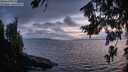 ./images/koeye/fitz-hugh/20260801/fitz-hugh20260801_214501M.jpg