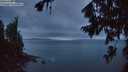 ./images/koeye/fitz-hugh/20260802/fitz-hugh20260802_052501M.jpg