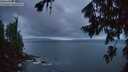./images/koeye/fitz-hugh/20260802/fitz-hugh20260802_053002M.jpg