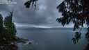 ./images/koeye/fitz-hugh/20260802/fitz-hugh20260802_053501M.jpg