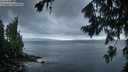 ./images/koeye/fitz-hugh/20260802/fitz-hugh20260802_055001M.jpg