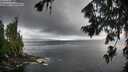 ./images/koeye/fitz-hugh/20260802/fitz-hugh20260802_061001M.jpg