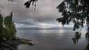 ./images/koeye/fitz-hugh/20260802/fitz-hugh20260802_063001M.jpg