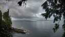 ./images/koeye/fitz-hugh/20260802/fitz-hugh20260802_065001M.jpg