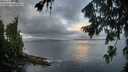 ./images/koeye/fitz-hugh/20260802/fitz-hugh20260802_065501M.jpg