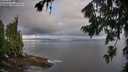 ./images/koeye/fitz-hugh/20260802/fitz-hugh20260802_073501M.jpg