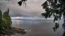 ./images/koeye/fitz-hugh/20260802/fitz-hugh20260802_074001M.jpg