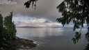 ./images/koeye/fitz-hugh/20260802/fitz-hugh20260802_075502M.jpg