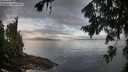 ./images/koeye/fitz-hugh/20260802/fitz-hugh20260802_080501M.jpg