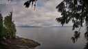 ./images/koeye/fitz-hugh/20260802/fitz-hugh20260802_085001M.jpg