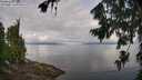 ./images/koeye/fitz-hugh/20260802/fitz-hugh20260802_092501M.jpg