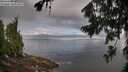 ./images/koeye/fitz-hugh/20260802/fitz-hugh20260802_100002M.jpg