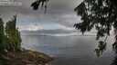 ./images/koeye/fitz-hugh/20260802/fitz-hugh20260802_100501M.jpg