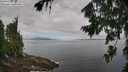 ./images/koeye/fitz-hugh/20260802/fitz-hugh20260802_104001M.jpg