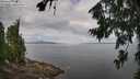 ./images/koeye/fitz-hugh/20260802/fitz-hugh20260802_105002M.jpg