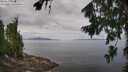 ./images/koeye/fitz-hugh/20260802/fitz-hugh20260802_110001M.jpg