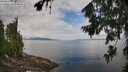 ./images/koeye/fitz-hugh/20260802/fitz-hugh20260802_111002M.jpg