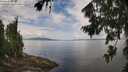 ./images/koeye/fitz-hugh/20260802/fitz-hugh20260802_112001M.jpg