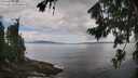 ./images/koeye/fitz-hugh/20260802/fitz-hugh20260802_113001M.jpg