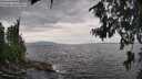 ./images/koeye/fitz-hugh/20260802/fitz-hugh20260802_131501M.jpg
