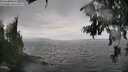 ./images/koeye/fitz-hugh/20260802/fitz-hugh20260802_135001M.jpg