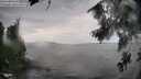 ./images/koeye/fitz-hugh/20260802/fitz-hugh20260802_140501M.jpg