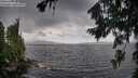 ./images/koeye/fitz-hugh/20260802/fitz-hugh20260802_145502M.jpg