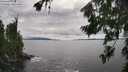 ./images/koeye/fitz-hugh/20260802/fitz-hugh20260802_165501M.jpg