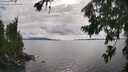 ./images/koeye/fitz-hugh/20260802/fitz-hugh20260802_171001M.jpg