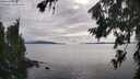 ./images/koeye/fitz-hugh/20260802/fitz-hugh20260802_174001M.jpg