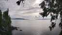 ./images/koeye/fitz-hugh/20260802/fitz-hugh20260802_175001M.jpg