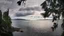 ./images/koeye/fitz-hugh/20260802/fitz-hugh20260802_184001M.jpg