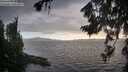 ./images/koeye/fitz-hugh/20260802/fitz-hugh20260802_194001M.jpg