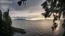 ./images/koeye/fitz-hugh/20260802/fitz-hugh20260802_201001M.jpg