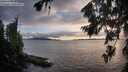 ./images/koeye/fitz-hugh/20260802/fitz-hugh20260802_202001M.jpg