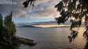 ./images/koeye/fitz-hugh/20260802/fitz-hugh20260802_203002M.jpg