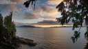 ./images/koeye/fitz-hugh/20260802/fitz-hugh20260802_204501M.jpg