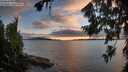 ./images/koeye/fitz-hugh/20260802/fitz-hugh20260802_205001M.jpg