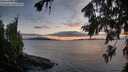 ./images/koeye/fitz-hugh/20260802/fitz-hugh20260802_211001M.jpg