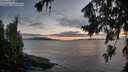 ./images/koeye/fitz-hugh/20260802/fitz-hugh20260802_211501M.jpg