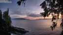 ./images/koeye/fitz-hugh/20260802/fitz-hugh20260802_214001M.jpg