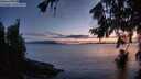./images/koeye/fitz-hugh/20260802/fitz-hugh20260802_215501M.jpg
