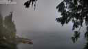 ./images/koeye/fitz-hugh/20260803/fitz-hugh20260803_063001M.jpg