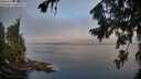 ./images/koeye/fitz-hugh/20260803/fitz-hugh20260803_071002M.jpg