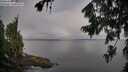 ./images/koeye/fitz-hugh/20260803/fitz-hugh20260803_082001M.jpg